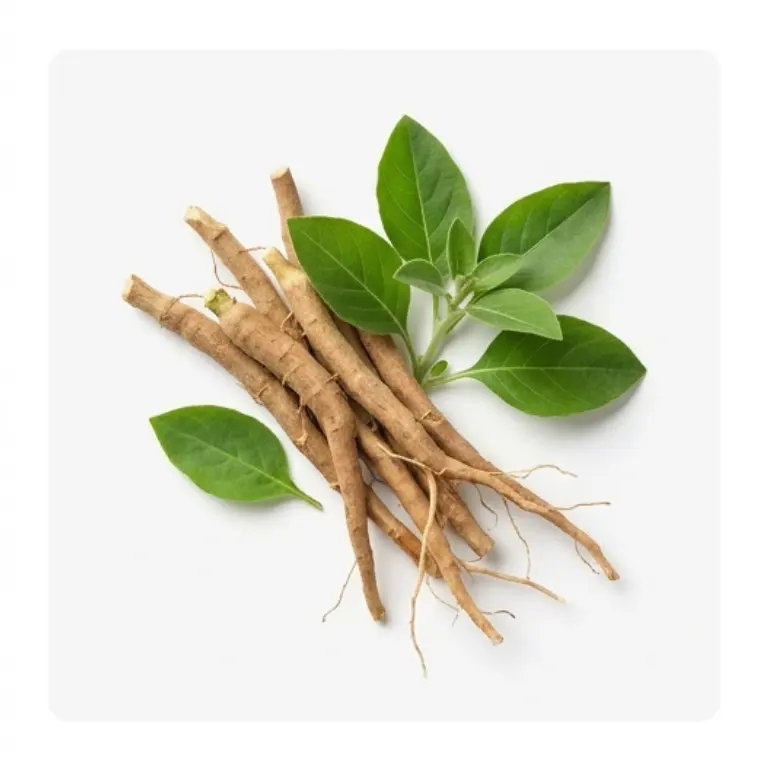 Ashwagandha